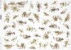 flores, margaritas, primulas, pequeños elementos*Blumen, Gänseblümchen, Primeln, kleine Elemente*цветы, маргаритки, примулы, малые элементы